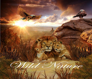 fantasy backgrounds, digital backgrounds, wild nature fantasy backgrounds