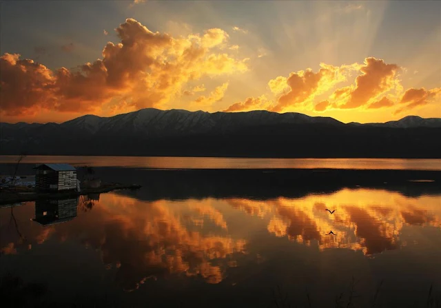 Zarivar Lake. Kurdistan Iran