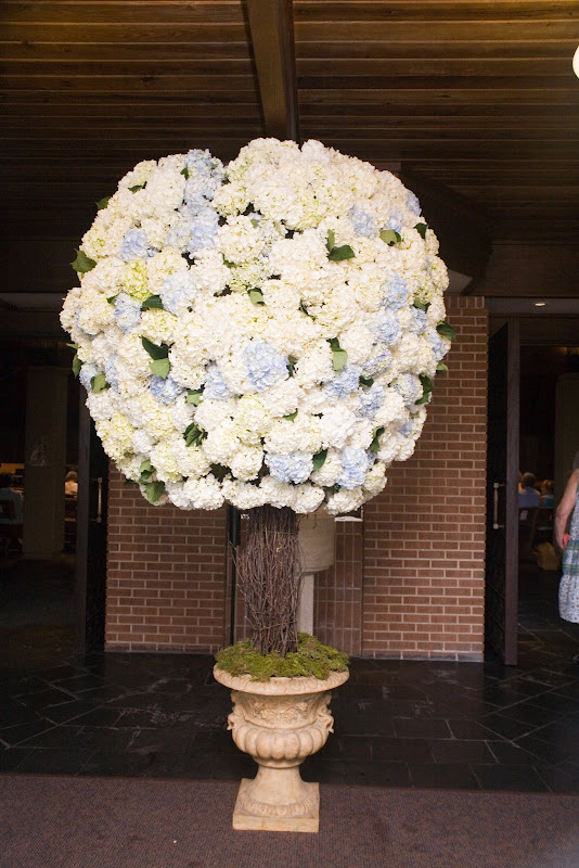 DTB Favorite colors blue and lavender Favorite flowerhydrangea