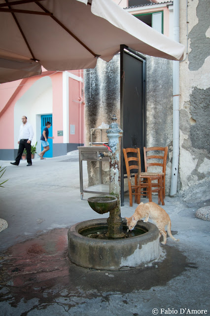 La Corricella-Procida