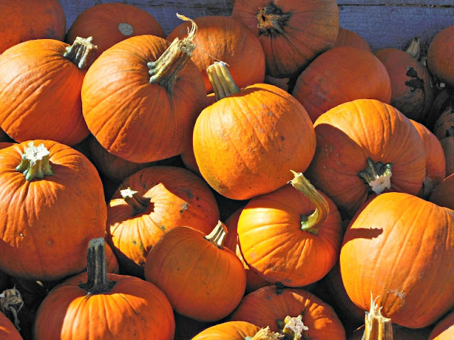 Pile of pumpkins