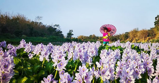 kalinampu natural park jogja