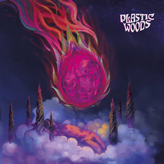 Plastic Woods "Dragonfruit" 2021 Spain Prog,Psych,Heavy Rock,Andalusian Rock