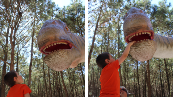 O Rodrigo a admirar um dos dinossauros do parque