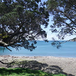 View album