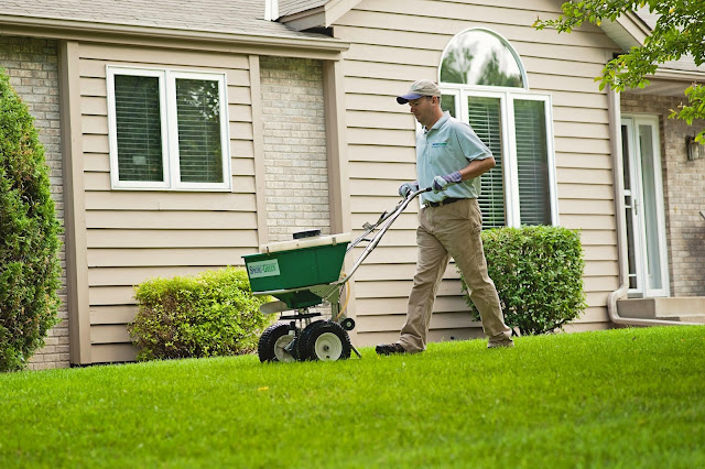 Essential Lawn Care Tips For A Lush And Healthy Yard