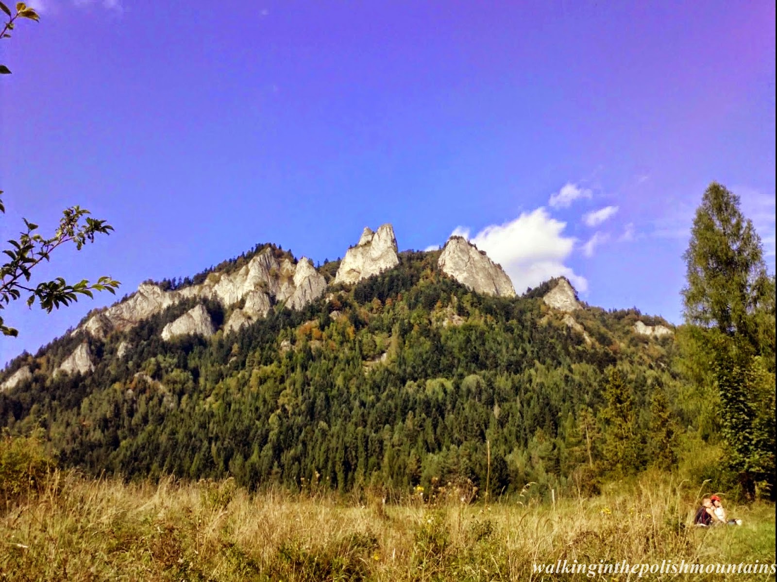 Pieniny Mountains