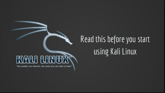 How to run Linux during Kali Linux installation or without bootable