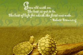 quotes about love and life. quotes on love life. quotes about love and life.