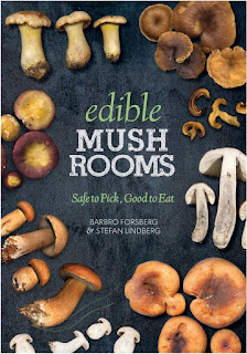  edible mushrooms guide