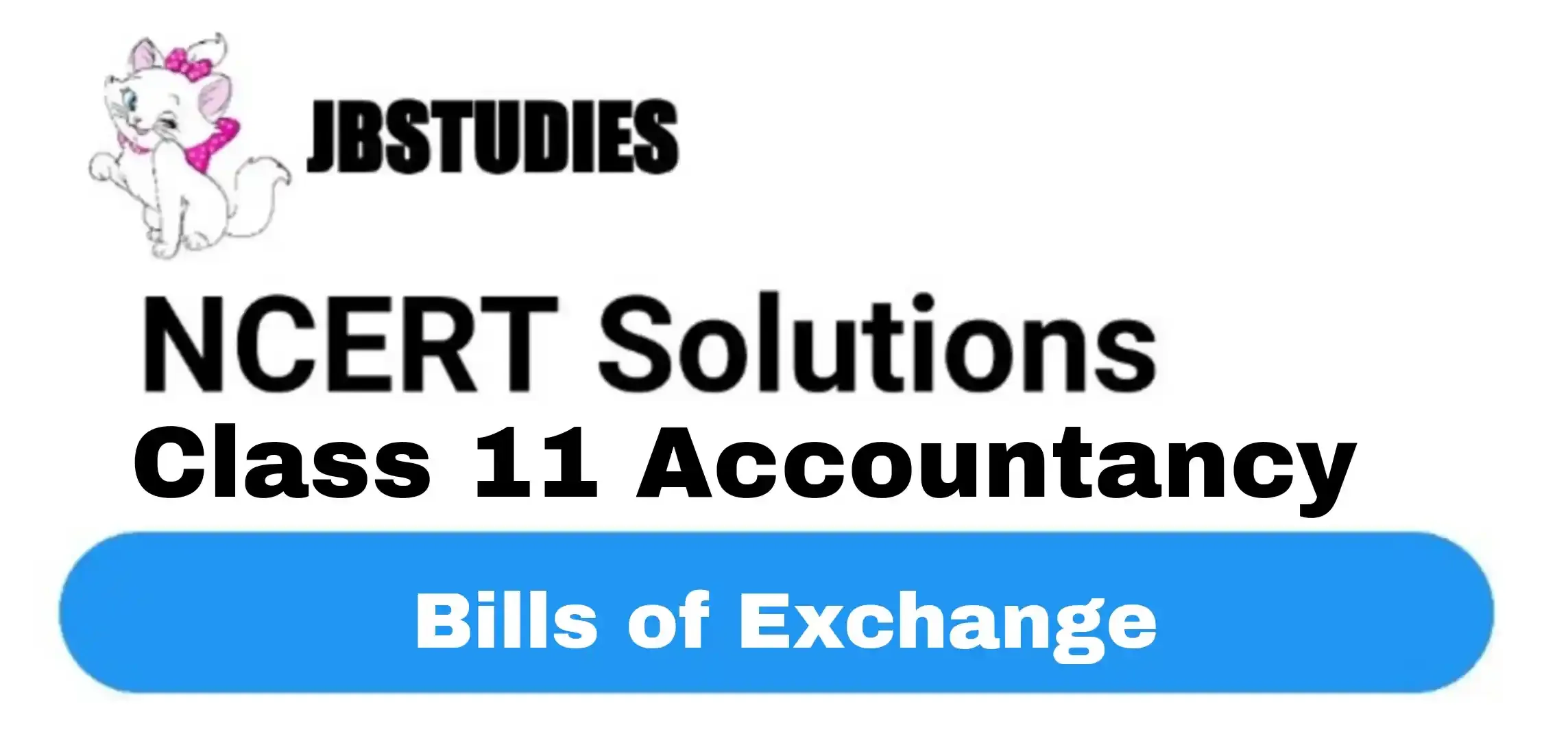 Solutions Class 11 Accountancy Chapter -8 (Bills of Exchange)