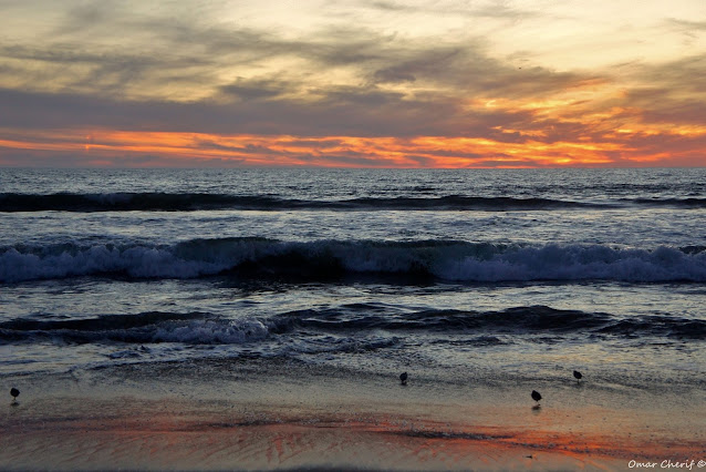 "Bliss" by Omar Cherif - Venie Beach, California, 2014