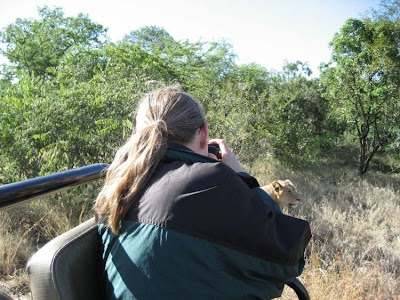 kruger south africa