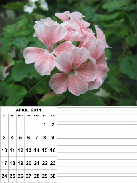 april 2011 calendar printable with. 2011 calendar printable april.