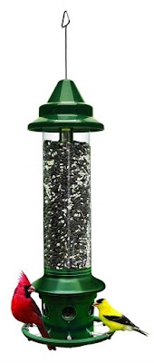 Best Squirrel-Proof Bird Feeder – Brome Squirrel-Proof Bird Feeder