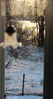 IMG_8495 til blogg