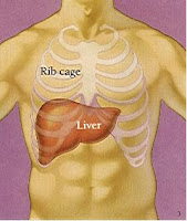 Mengenali Gejala Liver Dan Cara Mengatasinya