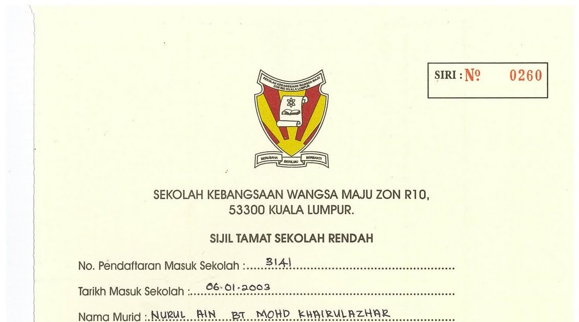 Ain: Sijil Tamat Sekolah Rendah 2008