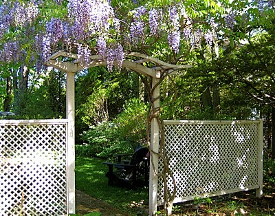 Lattice In My Garden, A Lovely Memory PRISCILLA MAE et al