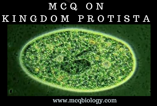 Paramecium - MCQ on Protozoans