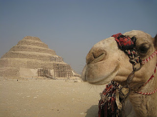 Travel Packages to Egypt 