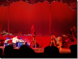 Very good acrobatics in the show