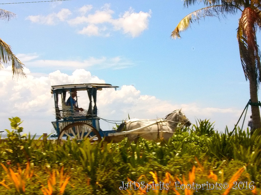 A photo of a horse drawn carriage along Roxas Boulevard Baywalk