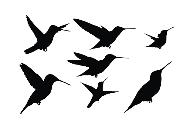 Hummingbird silhouette collection vector free download