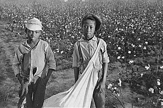 Young Cotton Pickers - Library of Congress