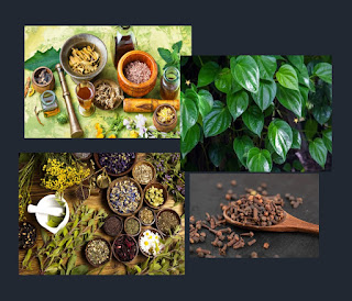 Tanaman herbal bermanfaat bagi kesehatan dan kecantikan, penting untuk diingat bahwa tidak semua tanaman herbal aman untuk dikonsumsi.
