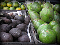 Сорта авокадо