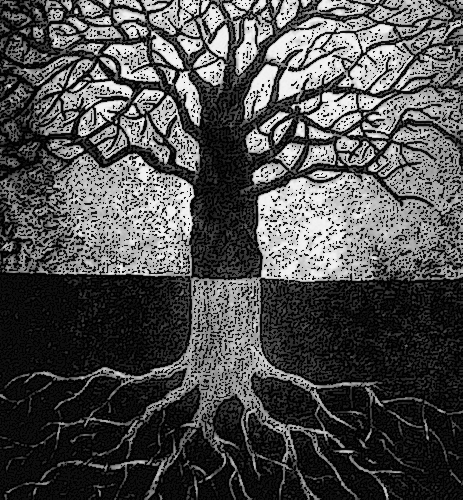 tree of life images. tree of life images. tree of