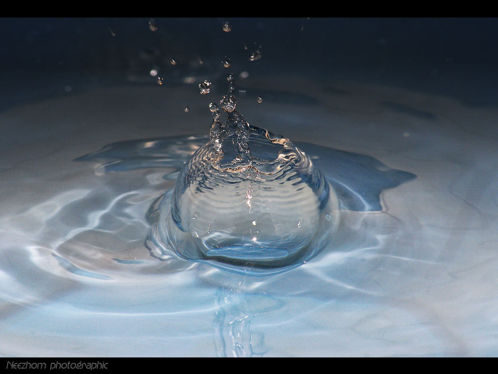 Liquid macro picture