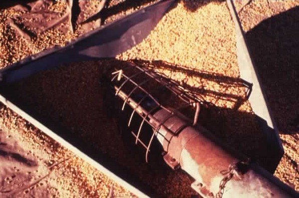 Auger Grain3