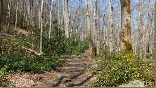 cucumber gap loop (48)