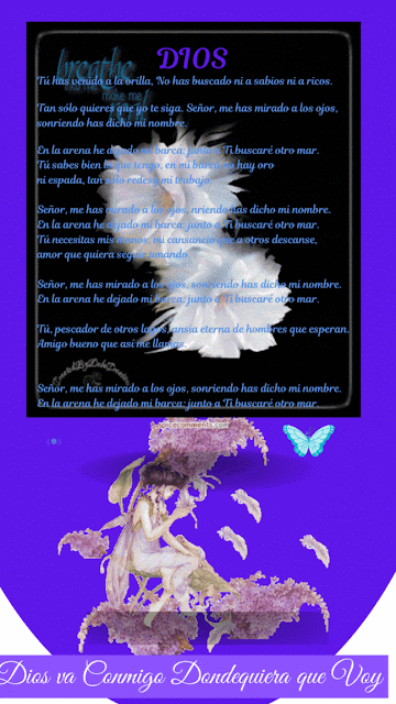 mariposas azules con un Poema para Dios