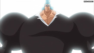 ワンピースアニメ ドレスローザ編 664話 フランキー | ONE PIECE Episode 664