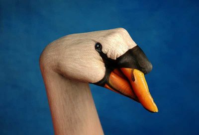 hand painting swan, hand painting