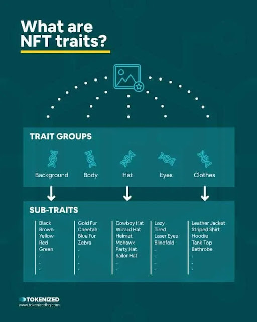 A Guide to Ranking Rare NFTs