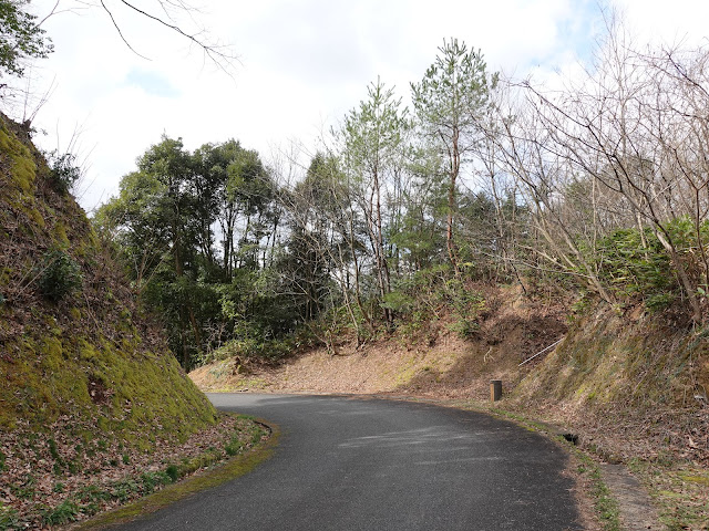 緑水湖湖畔　道路