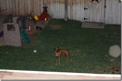 porch 021