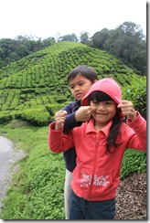 Cameron Highland 18.3.2011 212