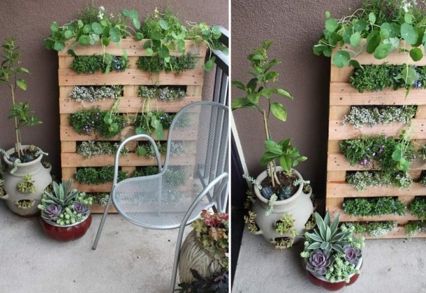 DIY Pallet Garden