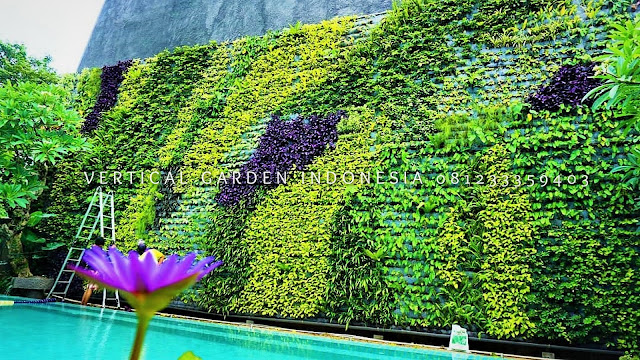 VERTICAL GARDEN INDONESIA SPESIALIS JASA PEMBUATAN VERTICAL GARDEN DI PURWOKERTO JAWA TENGAH DAN DI SELURUH WILAYAH JAWA TENGAH DENGAN TENAGA YANG PROFESIONAL DAN DAPAT DI PERCAYA YANG SELALU MENGUTAMAKAN SEBUAH MUTU DAN KUALITAS PEMASANGAN VERTICAL GARDEN/TAMAN DINDING, JASA TUKANG TAMAN VERTICAL PURWOKERTO JAWA TENGAH, JASA VERTICAL GARDEN PURWOKERTO JAWA TENGAH