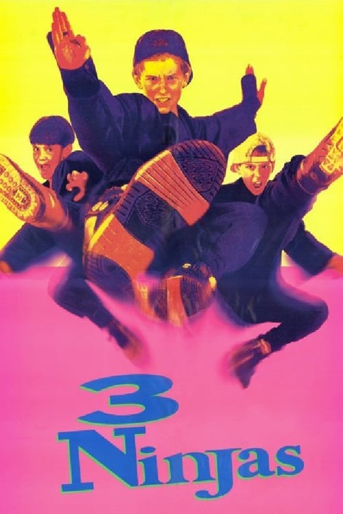Regarder Ninja Kids : Les 3 Ninjas 1992 Film Complet En Francais