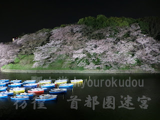 皇居側の森