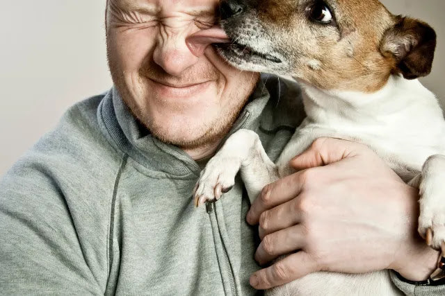 pourquoi-mon-chien-me-leche-t-il-les-yeux