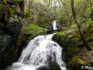 Cascadas intermedias