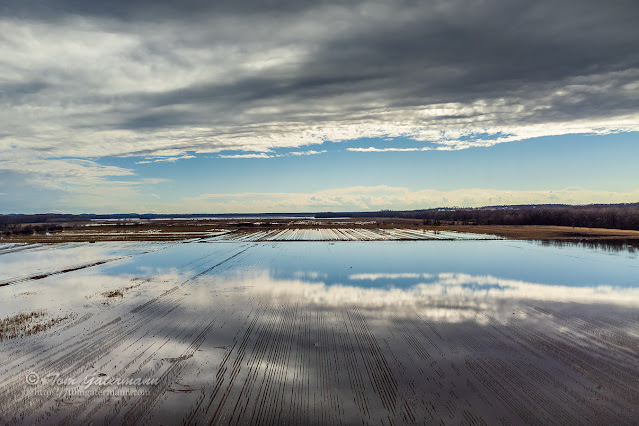 A flooded field along the Seneca River reflects the sky above at Savannah, NY