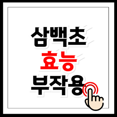 삼백초 효능과 부작용 총정리